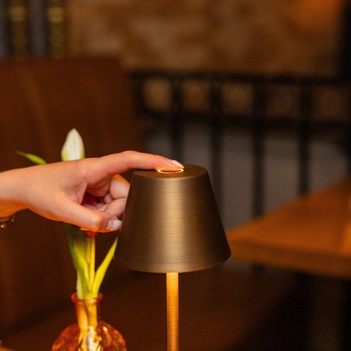 Lampe d'intérieur et d'extérieur Lampe de table moderne en bronze