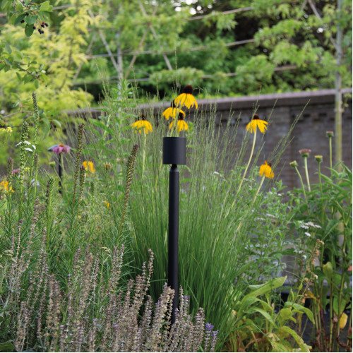Lampe de jardin Issy noire small près des graminées ornementales avec lumière dirigée vers le bas