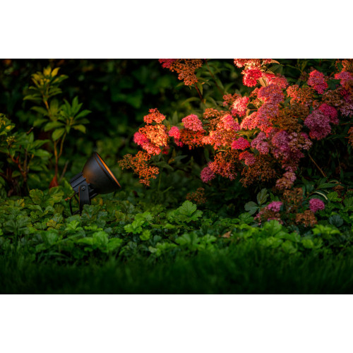 Lampe d'extérieur noire convenant à un projecteur d'éclairage extérieur à basse tension de 12 volts.