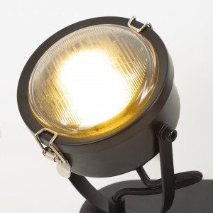 Plaque de verre (3484) pour spot série Satellite | Nostalux.fr