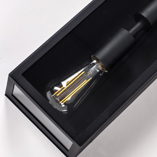 Plafonnier noir avec 2 culots mode Twilight rectangle verre clair éclairage moderne stylé pour mur ou plafond extérieur
